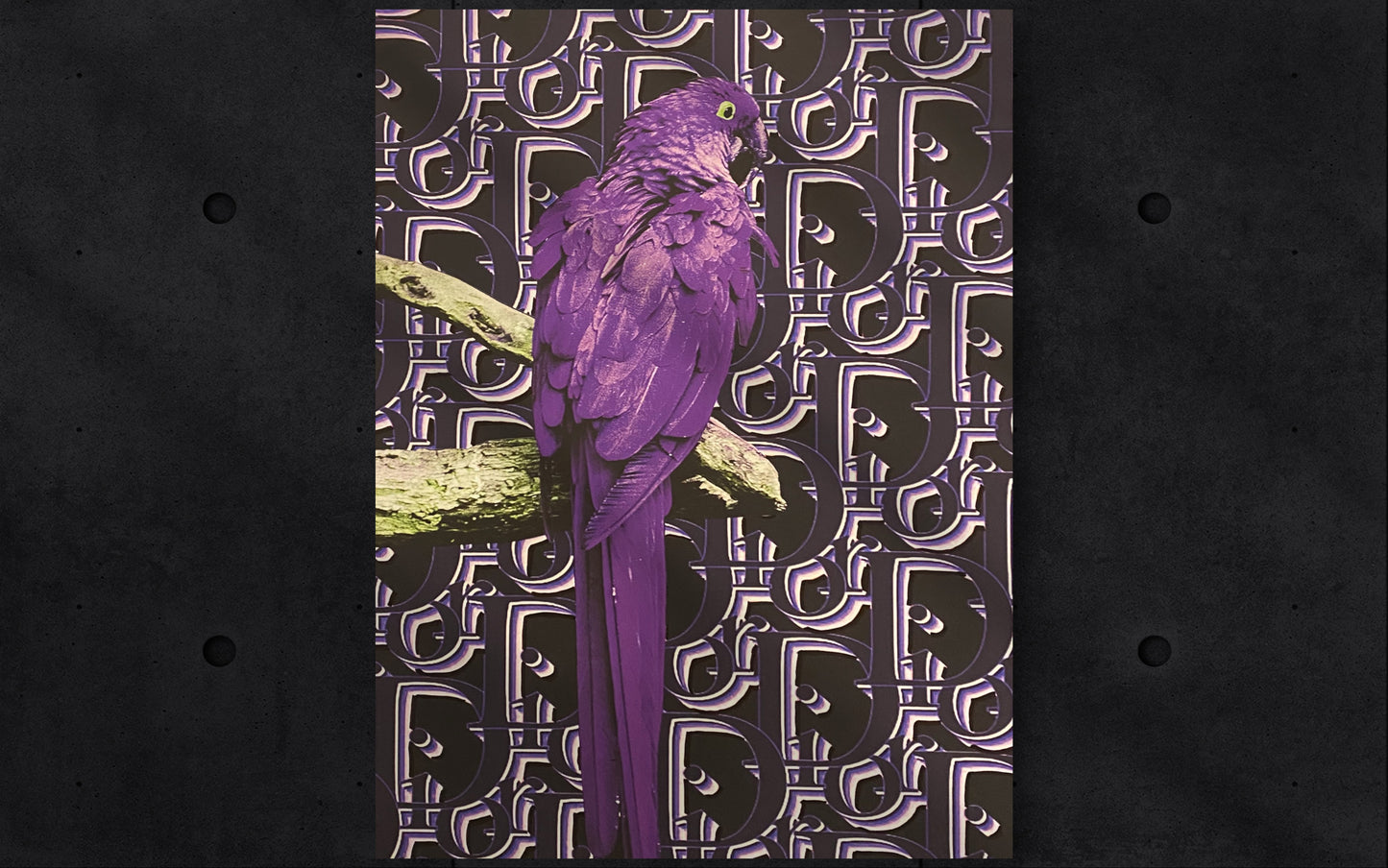 Purple Dior Parrot